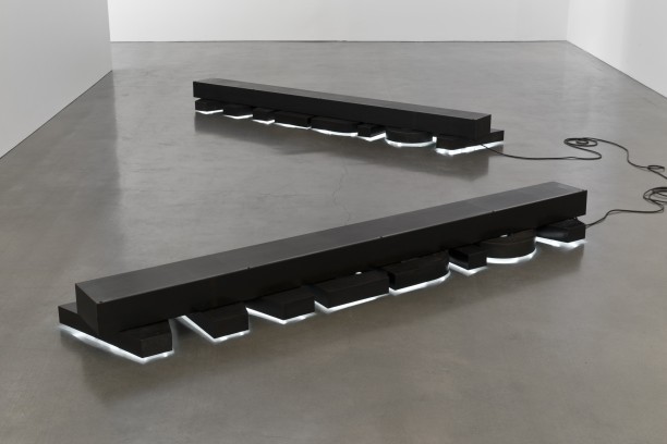 Glenn Ligon