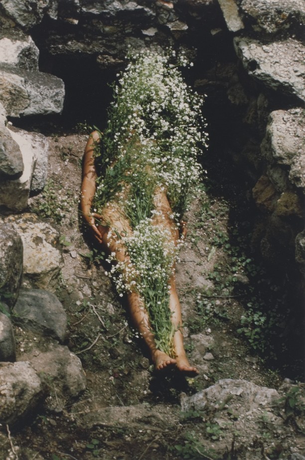 Silueta Works in Mexico