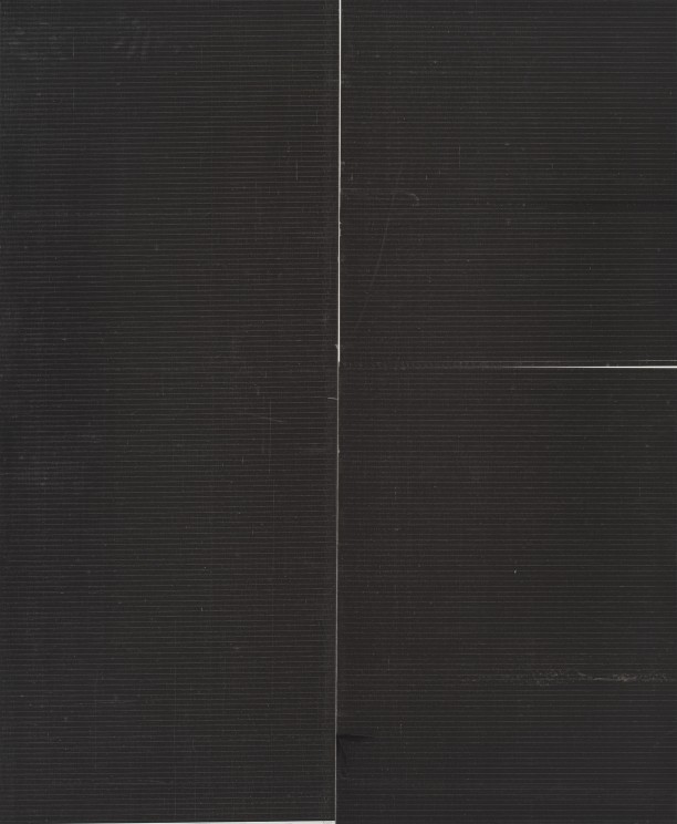 Wade Guyton