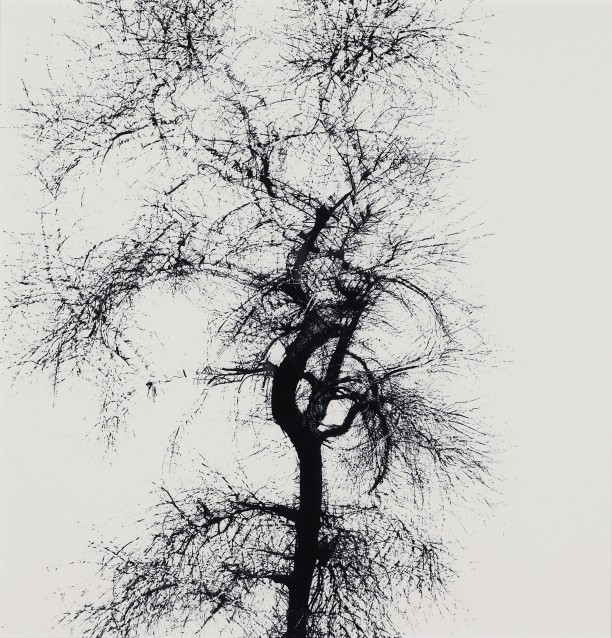 Harry Callahan