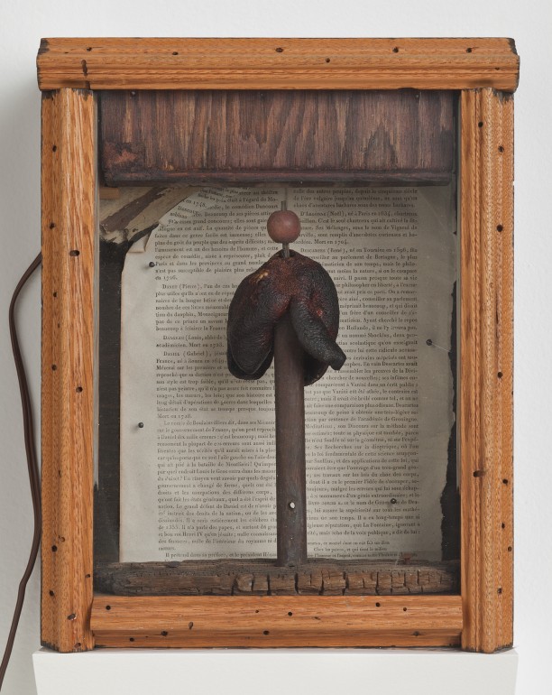 Untitled (Toadstool on wood cylinder)