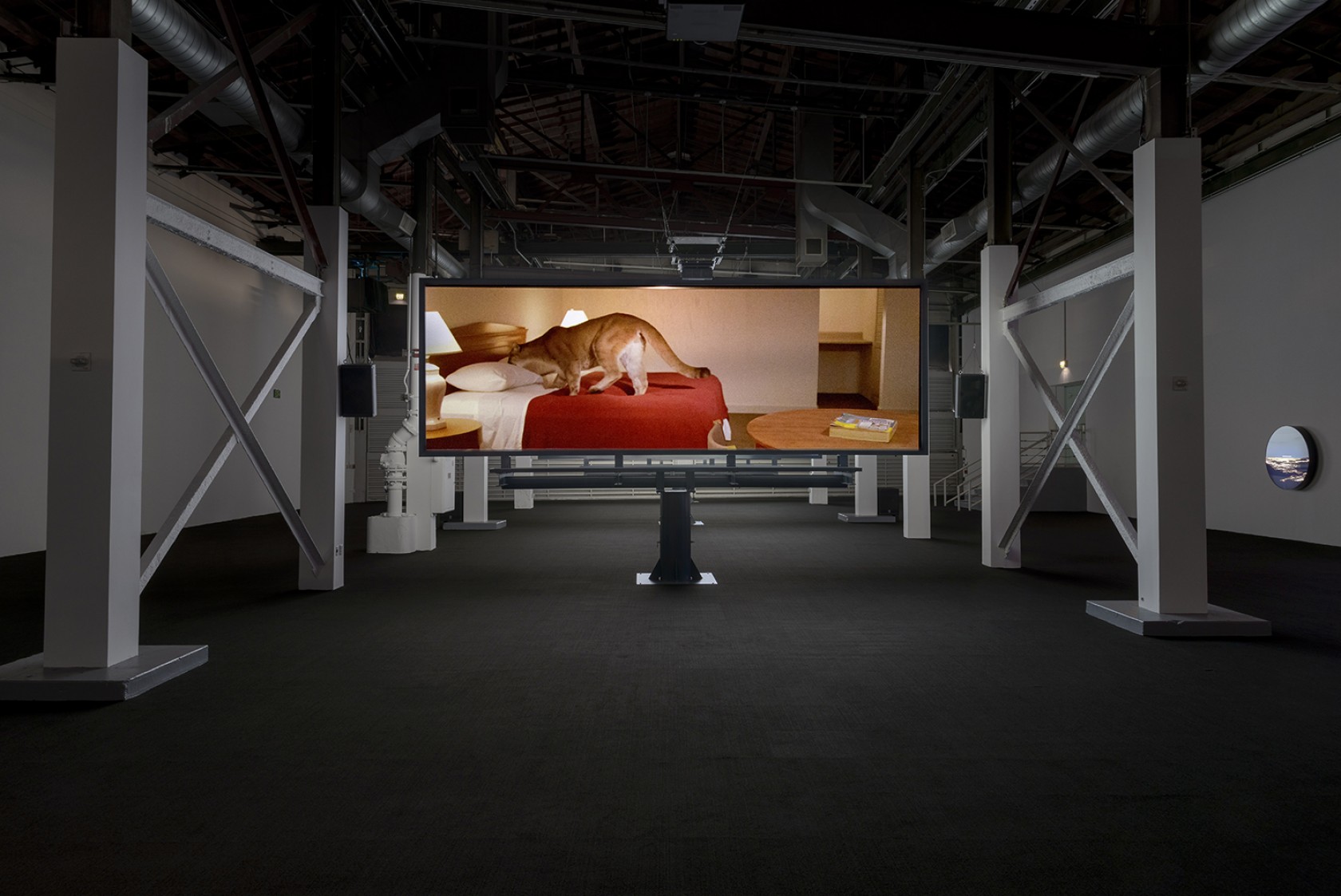 Doug Aitken: Electric Earth Installation View 37
