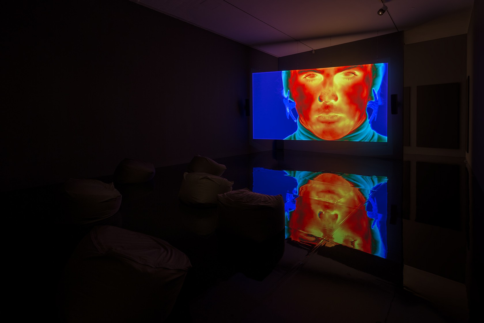 Patrick Staff: Weed Killer Installation View 01