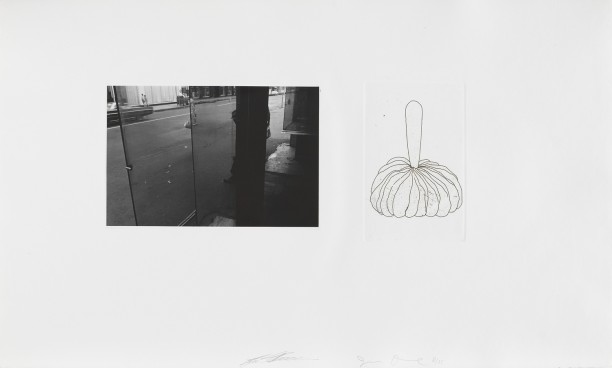 Untitled (photograph taken thru glass and etching)