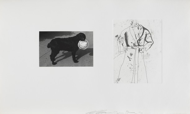 Untitled (dog and robe)