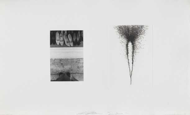 Untitled (women's shoes and vagina)