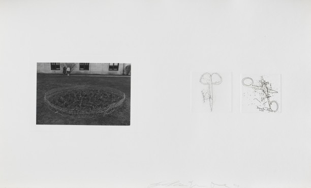 Untitled (small garden and two pairs of scissors)