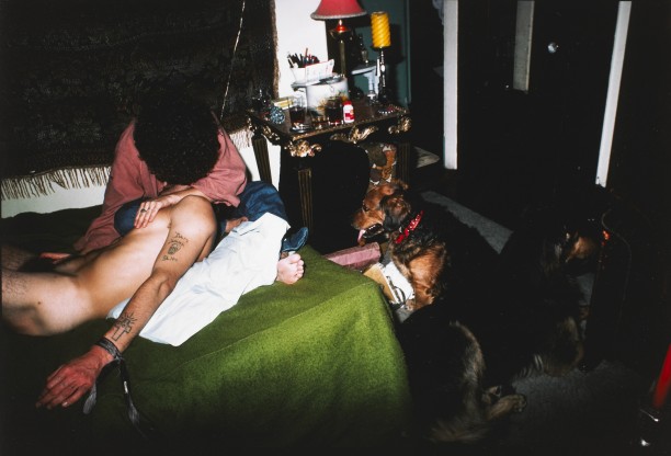 Friend tied up with his dogs, Boston