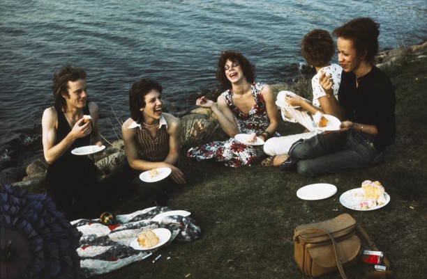 Picnic on the Esplanade, Boston