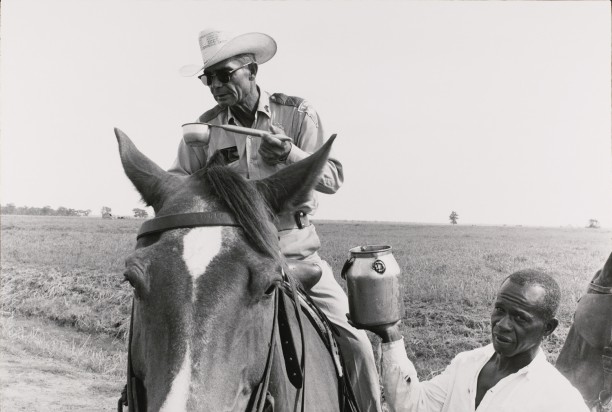 Watering a boss