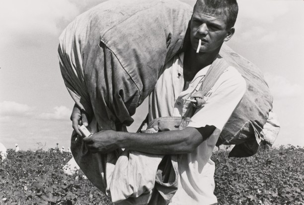 Cotton picker; ten year, robbery and assault