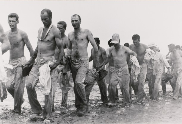 Return from the fields