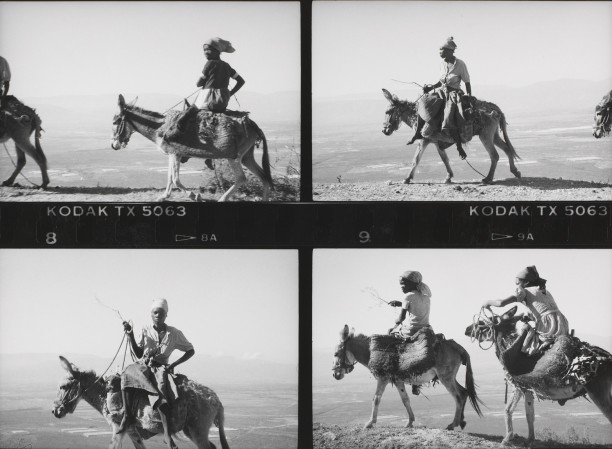 Series of 4: Women on Mules