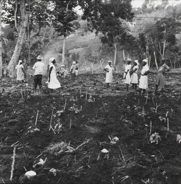 Women wait to plant a field above Jacmal