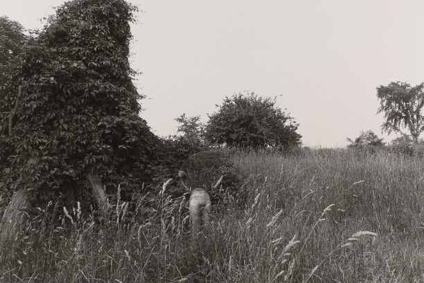 Roger Mertin