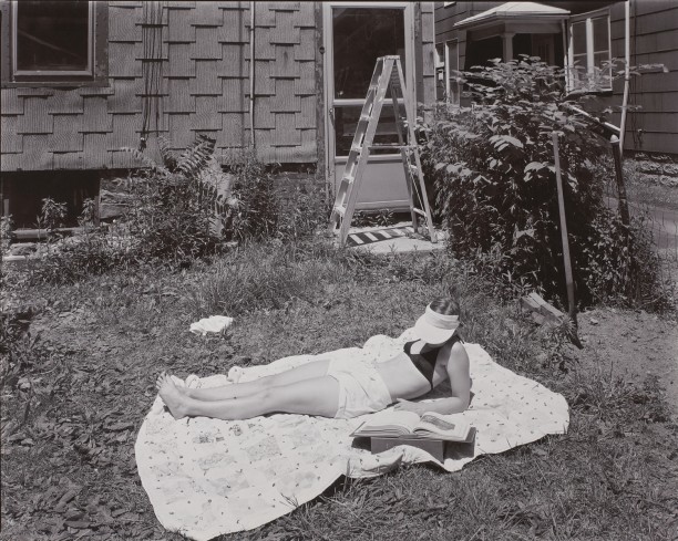 M. Rochester Back Yard