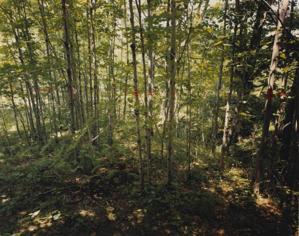 John Pfahl