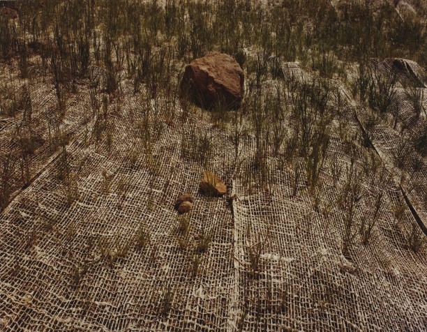 Burlap Landscape, Vail Pass, Colorado