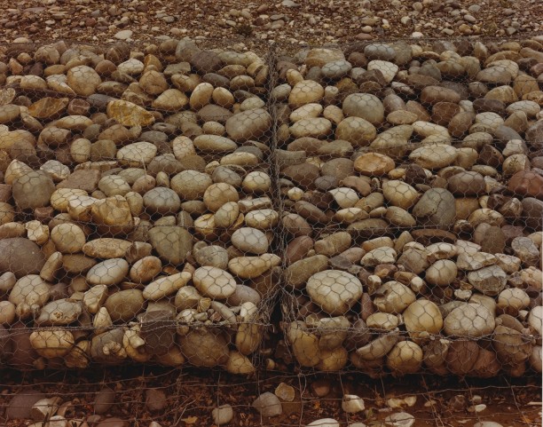 Round Rocks Retained, Grand Teton National Park, Wyoming