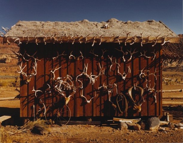 Antler Shed, Capitol Reef National Park, Utah