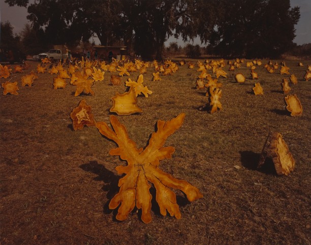 Cypress Tabletops, Kissemmee, Florida