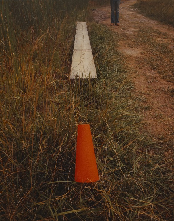 Plank and Cone, Artpark, Lewiston, New York