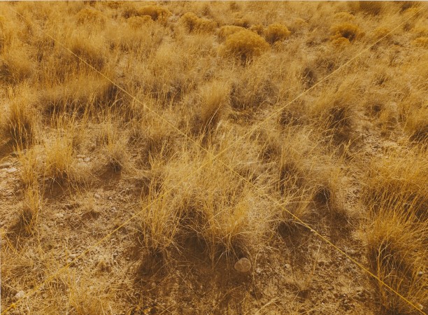 Yellow X, Albuquerque