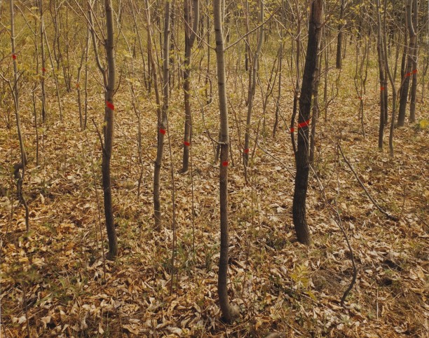 Red Chevron, Silver Creek, New York
