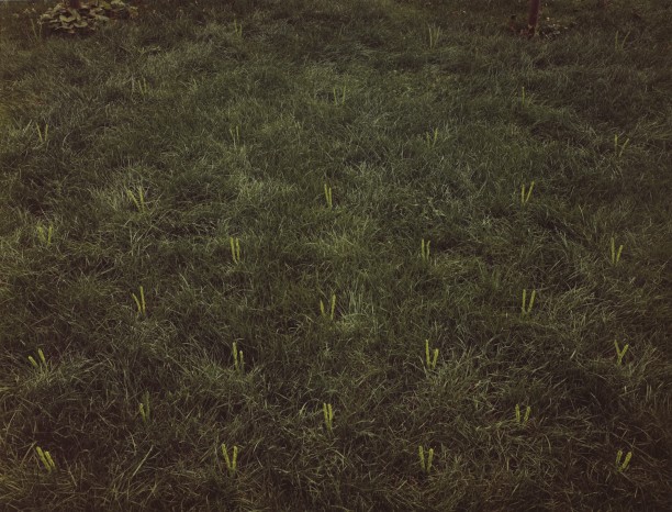 Lighthouse, Tufted Lawn, Potomac Avenue, Buffalo, New York