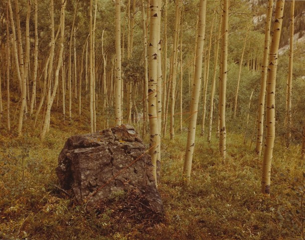 Aspen Lightning, Frisco, Colorado