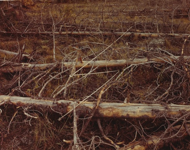 Blowdown Lightning, Grand Teton National Park, Wyoming