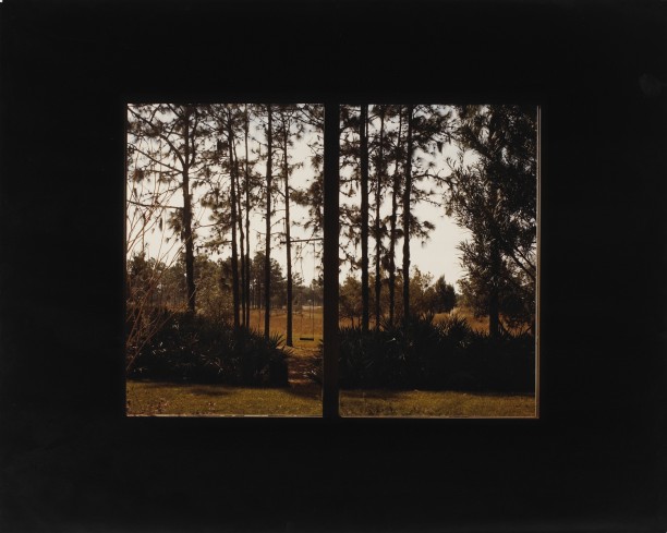 2004 Clement Road, Lutz, Florida