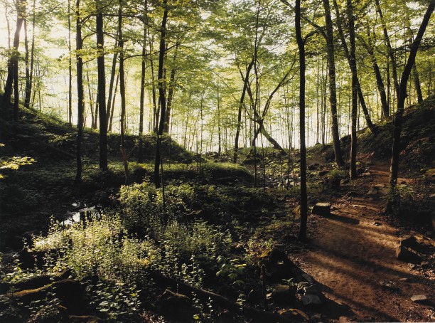 Path to the Whirlpool