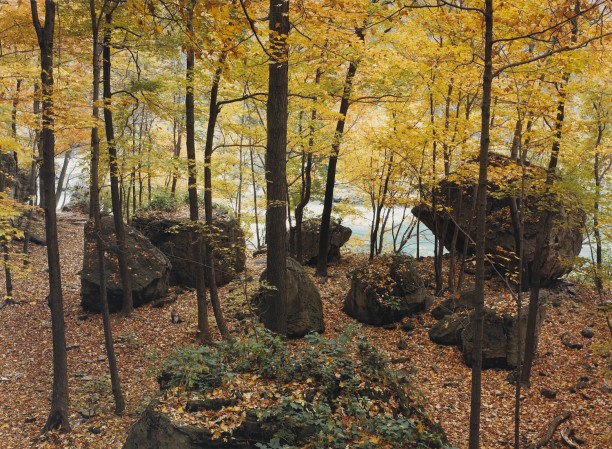 Niagra Glen Boulders