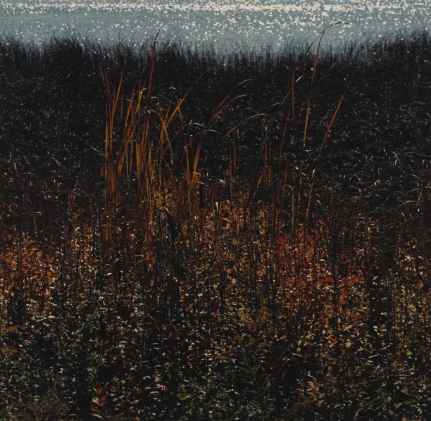 Cattails on Buckhorn Island