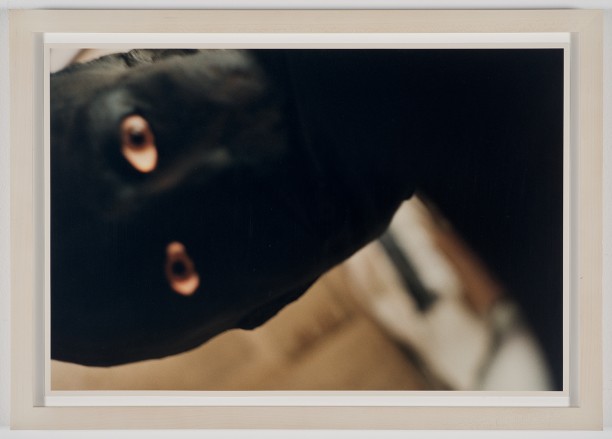 Kiki Smith