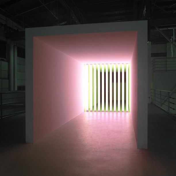 Dan Flavin