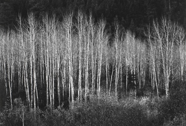 Ansel Adams
