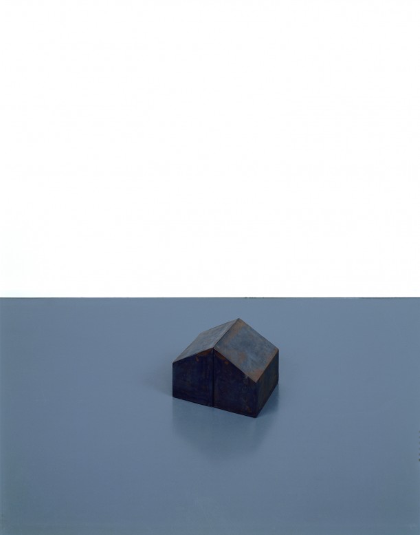 Joel Shapiro