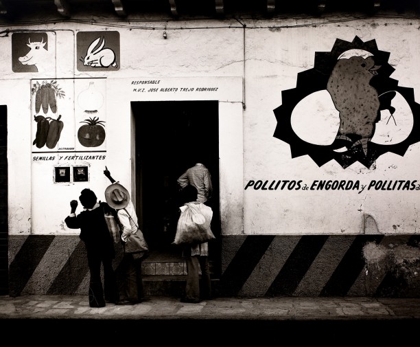Feed and Seed Store