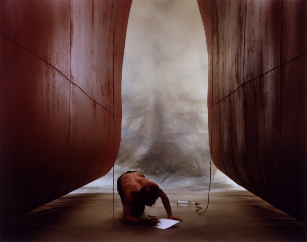 Boyd Webb