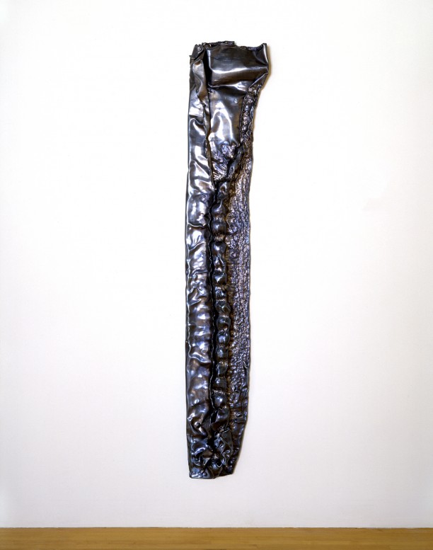 Liz Larner