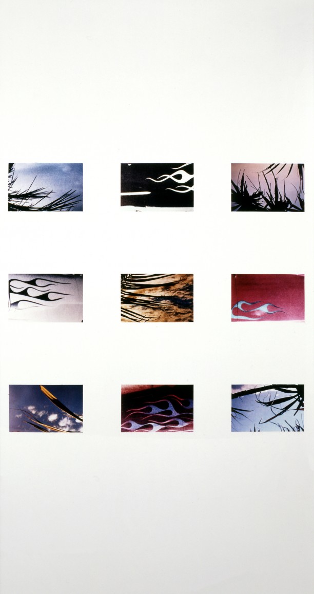 Untitled (Palms and Decals)