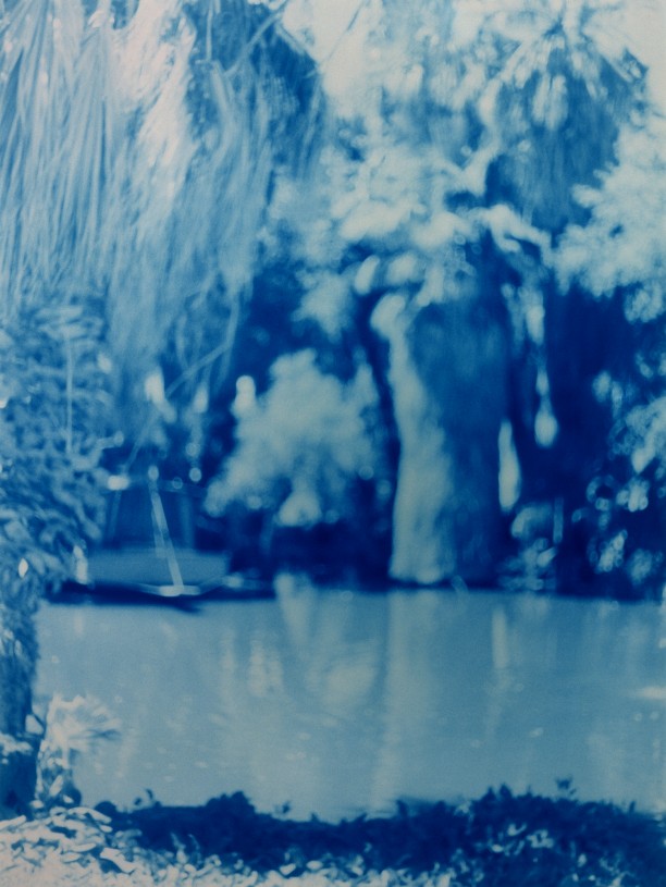 Oasis