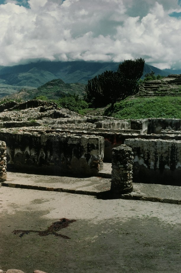 Silueta Works in Mexico