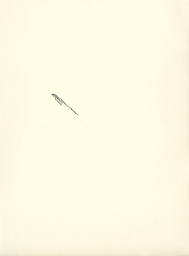Dan Asher