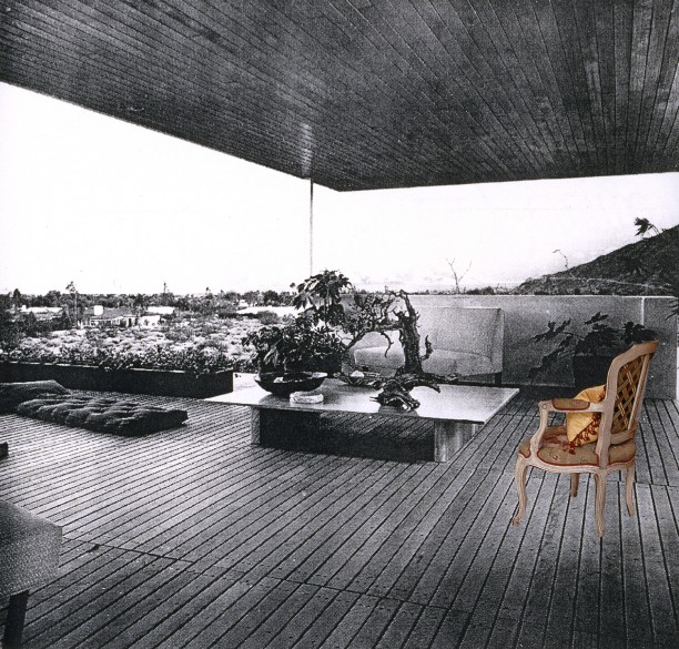 Desert Chair