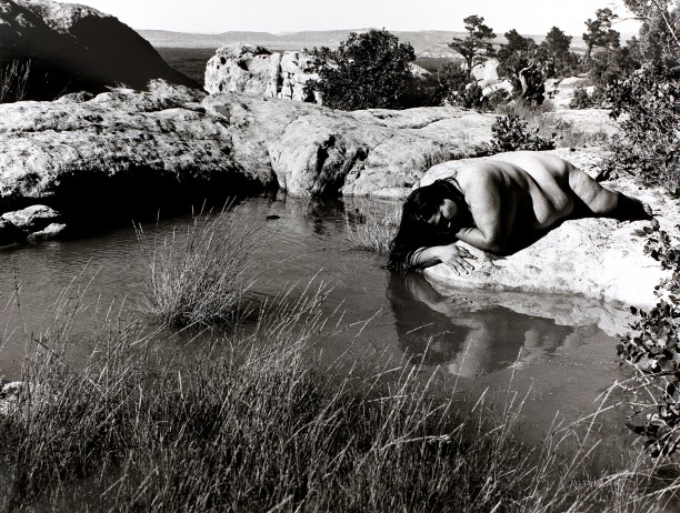 Untitled Landscape