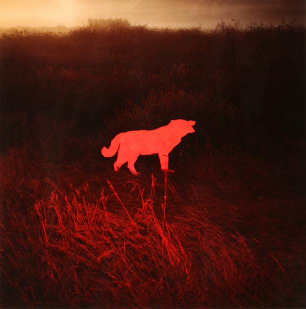 John Divola