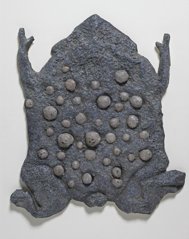 Surinam Toad Advent Calendar